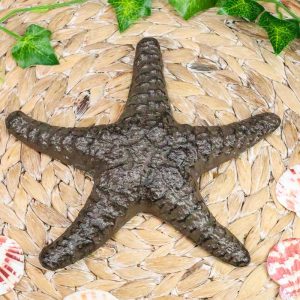 Ebros Cast Iron Sea Star Shell Starfish in Rustic Bronze Finish 7.75" Wide