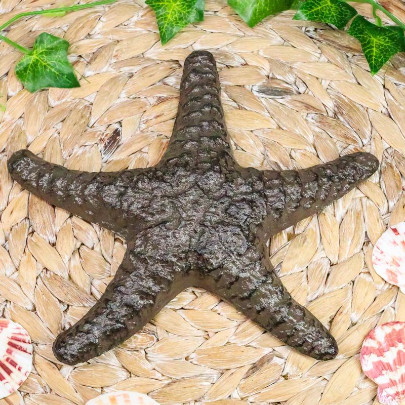 Ebros Cast Iron Sea Star Shell Starfish in Rustic Bronze Finish 7.75" Wide