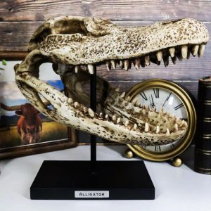 Ebros Faux Taxidermy Alligator Fossil Skull Baring Jaws and Teeth Statue 14.5"L