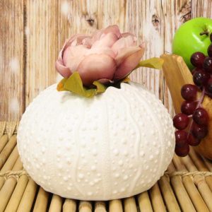Ebros 7.5" Diameter White Sea Urchin Shell Ceramic Sculpture Pot Figurine (1)