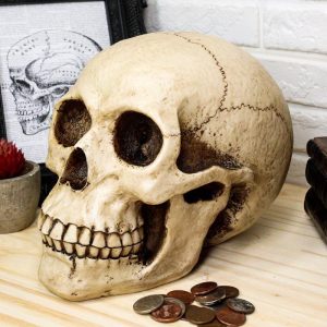 Ebros Gift Large Bone Cream Homosapien Skull Money Bank Figurine