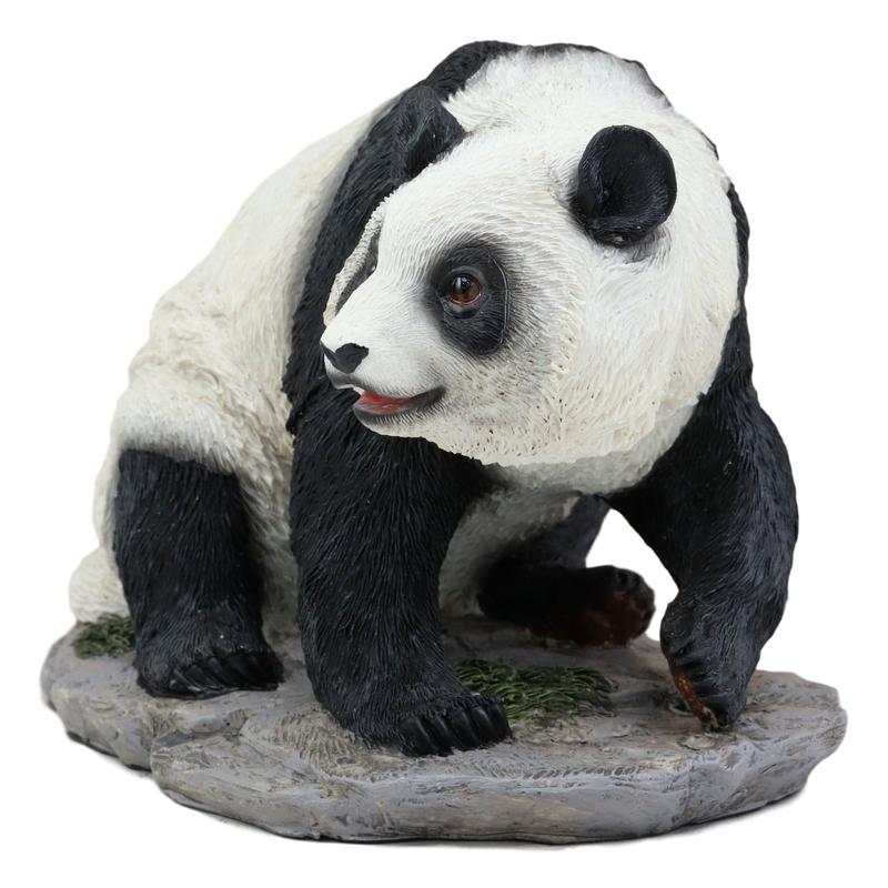 Ebros Lifelike Adorable China Asian Giant Panda Bear Statue 8"L With Glass Eyes Decor