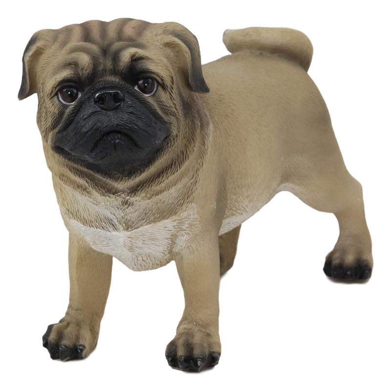 Ebros Realistic Lifelike Adorable Fawn Pug Dog Statue 7.75" L Figurine with Glass Eyes
