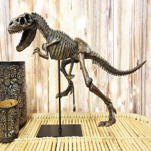 Ebros  Jurassic Dinosaur Tyrannosaurus Rex Fossil Skeleton Statue On Museum Mount 24"L