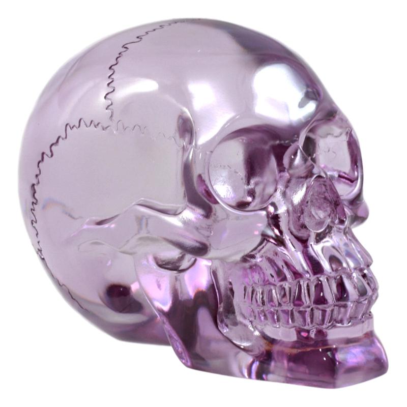 Ebros Pirate Cave Tomb Treasure Purple Translucent Skull Figurine Decorative Statue Acrylic Resin