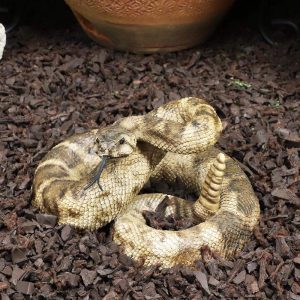 Ebros Realistic Diamondback Rattlesnake Hand Painted Taxidermy Statue 8.25"Long