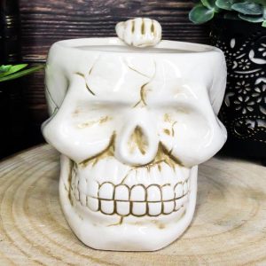 Ebros Ossuary Ghastly Death Skull Drinking Coffee Mug 12oz Tankard Beer Cup