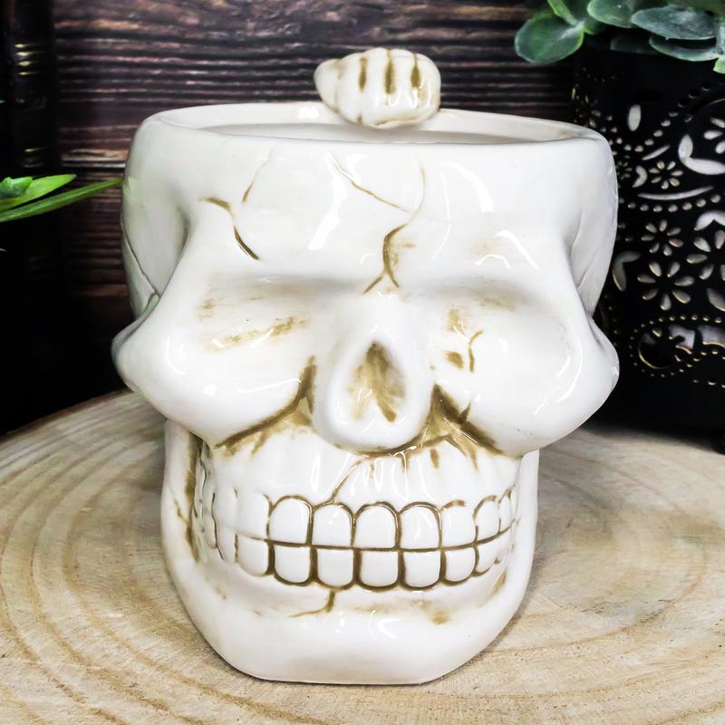 Ebros Ossuary Ghastly Death Skull Drinking Coffee Mug 12oz Tankard Beer Cup