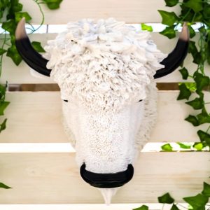 Ebros Sacred Lightning White Buffalo Wall Decor 18"H Faux Bison Head Taxidermy