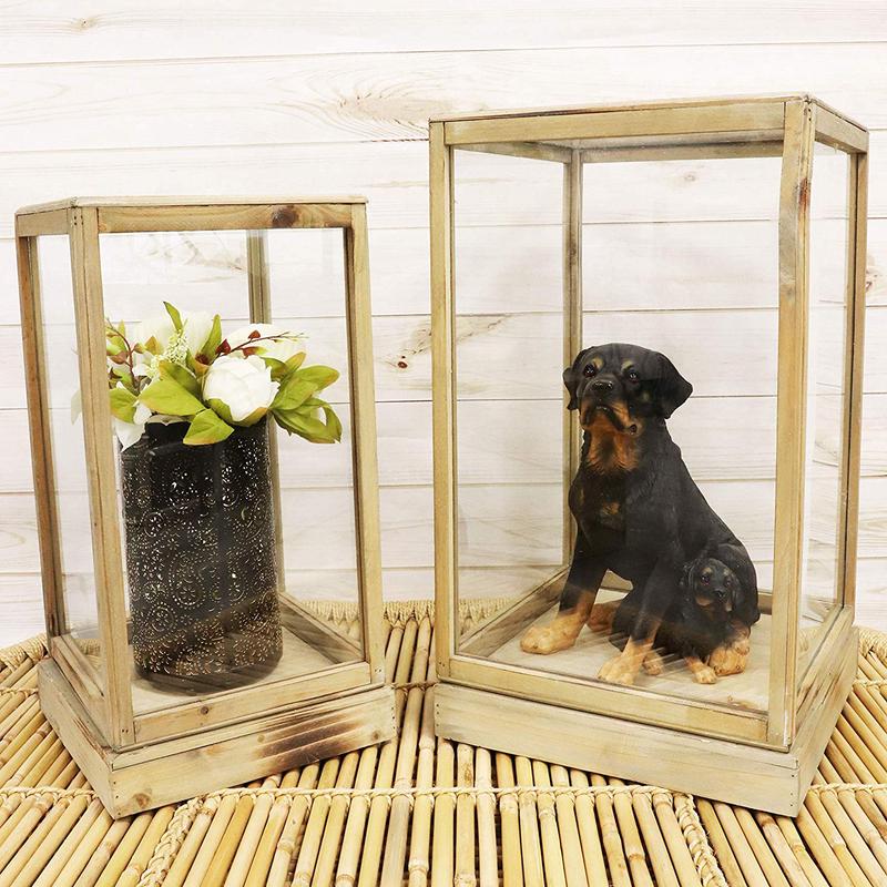 Ebros Set of 2 Large Rustic Clear Glass Display Boxes with Natural Wood Frames