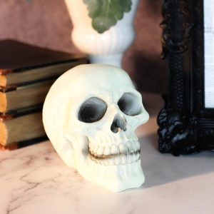 Glow In the Dark Luminescence Skull Halloween Decorative Accessory 3.75" Tall