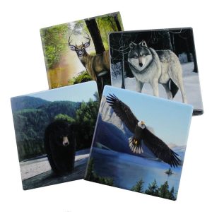 Forest Pack- Protect Your Furniture with These Decorative Coasters