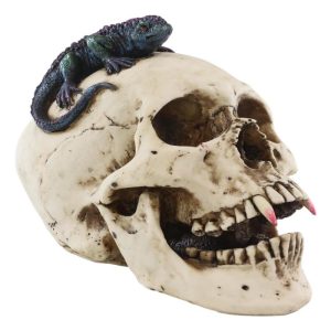 Large Dracula Fanged Skull With Iguana Statue Halloween Spooky Decor Figurine