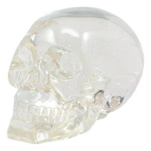 Ebros Clear Translucent Witching Hour Gazing Skull Statue 5.5"L Made Of Acrylic