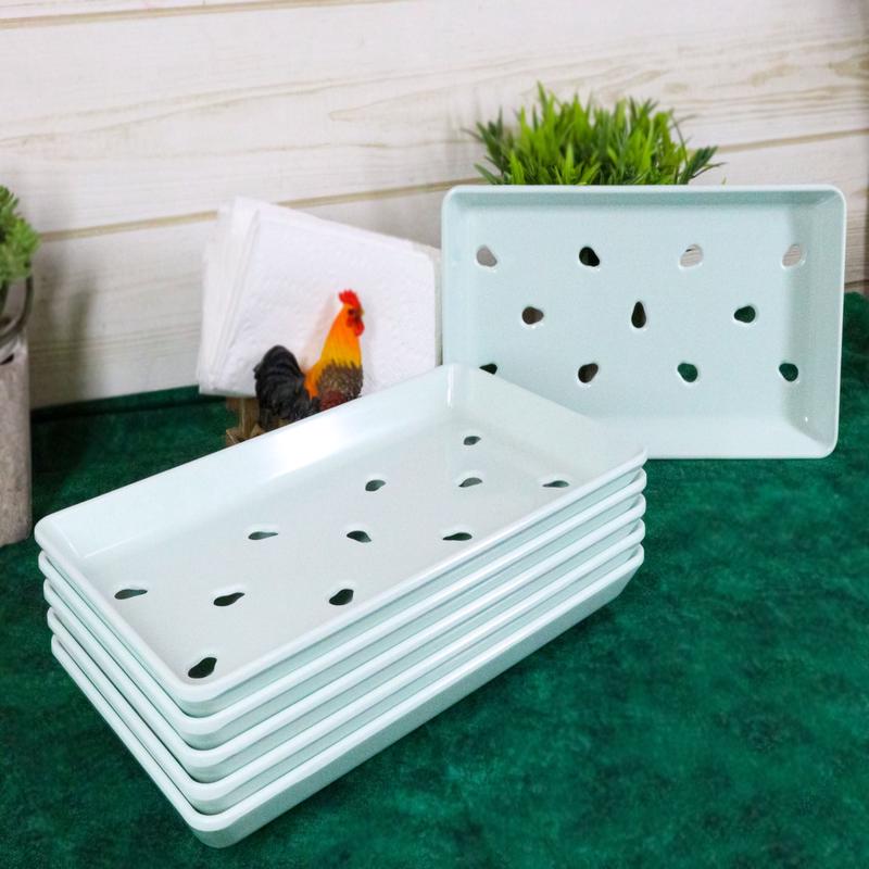 Pack Of 6 Sage Green Neta Zara Sushi Sashimi Plates With Drip Holes 8.75"X5"