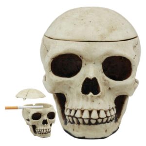 Day of The Dead Ossuary Human Skull Ashtray Statue Skeleton Cranium Jewelry Box