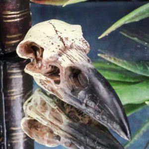 Gothic Reliquary Raven Crow Skull Small Pendant Sacred Talisman Macabre Figurine