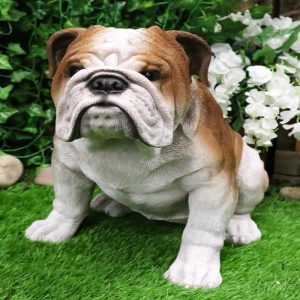 Lifelike Realistic English Bulldog Statue 14.5"Tall Fine Pedigree Dog Breed