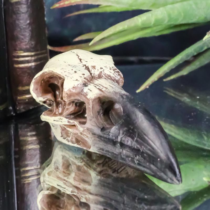 Pack Of 3 Gothic Reliquary Raven Crow Skull Small Pendant Talisman Figurines