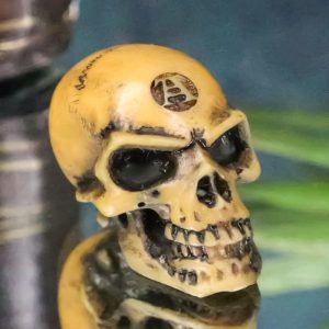 Wicca New Age Alchemy Emblem Lapillus Worry Token Skull Gothic Mini Figurine