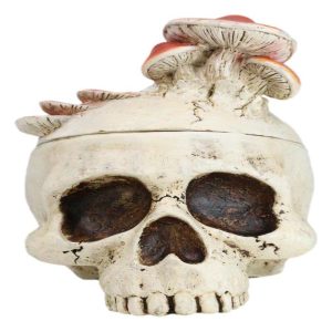 Wicca Gothic Toadstool Mushrooms And Fungi Skull Decorative Trinket Box Figurine