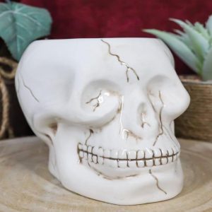 Ceramic Spooky Jointed Homosapien Human Skull Cereal Treat Soup Bowl 32oz