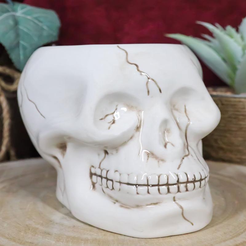 Ceramic Spooky Jointed Homosapien Human Skull Cereal Treat Soup Bowl 32oz