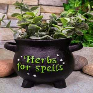 Green Thumb Gardening Black Witchcraft Herbs For Spells Cauldron Planter Pot 5"D
