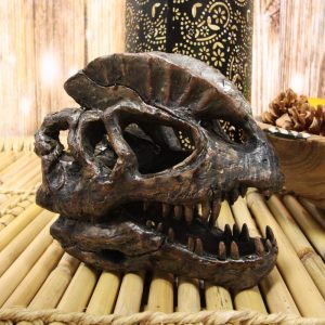 Faux Taxidermy Replica Dilophosaurus Dinosaur Head Fossil Small Skull Figurine