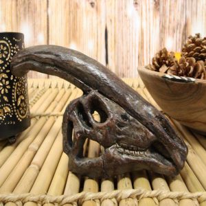 Faux Taxidermy Replica Parasaurolophus Dinosaur Head Fossil Small Skull Figurine