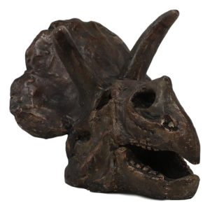 Faux Taxidermy Replica Triceratops Dinosaur Head Fossil Small Skull Figurine
