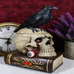 Gothic Crow Perching On Books And Skull With Plucked Eye Decorative Jewelry Box