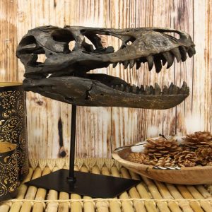 Jurassic Tyrannosaurus Rex T-Rex Faux Fossil Skull With Pole Display Mount 11.5"