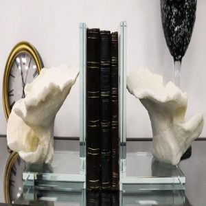 Nautical Coastal Marine White Sea Montipora Corals Acrylic Glass Bookends Set
