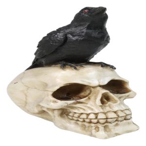 Myth and Legends Black Odin Raven Crow Perching On Skull Decorative Figurine
