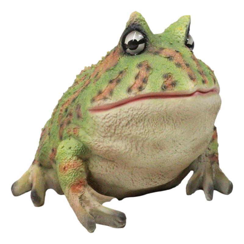 Amphibian Wildlife Realistic Green Bullfrog Frog In Stoic Posture Figurine 7"L