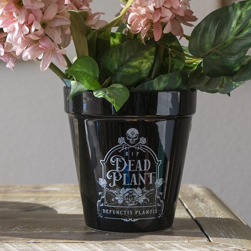 Dead Plant RIP Skull Grave Tombstone Wicca Witch Flower Herbs Planter Pot