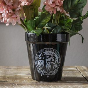 Magic Garden Fairy Mushrooms Triple Moon Wicca Witch Flower Herbs Planter Pot