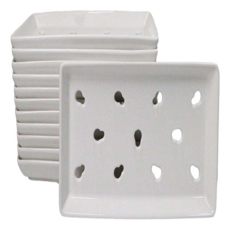 Pack Of 12 Ceramic White Neta Zara Sushi Case Plates With Drip Holes 9" By 5"