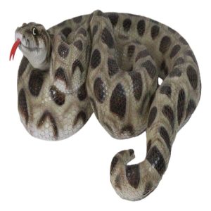 Realistic Ferocious Coiled Boa Snake Hand Painted Taxidermy Statue 17"L