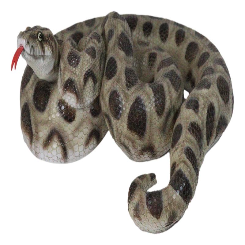 Realistic Ferocious Coiled Boa Snake Hand Painted Taxidermy Statue 17"L