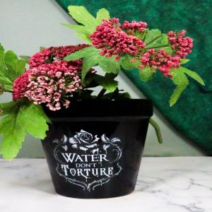 Water Don't Torture Rose Vines Wicca Witch Apothecary Flower Herbs Planter Pot