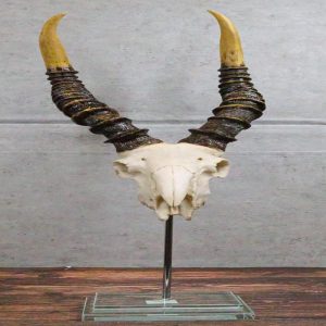 Vintage Faux Taxidermy Kudu Antelope Skull On Museum Pole Mount With Glass Base