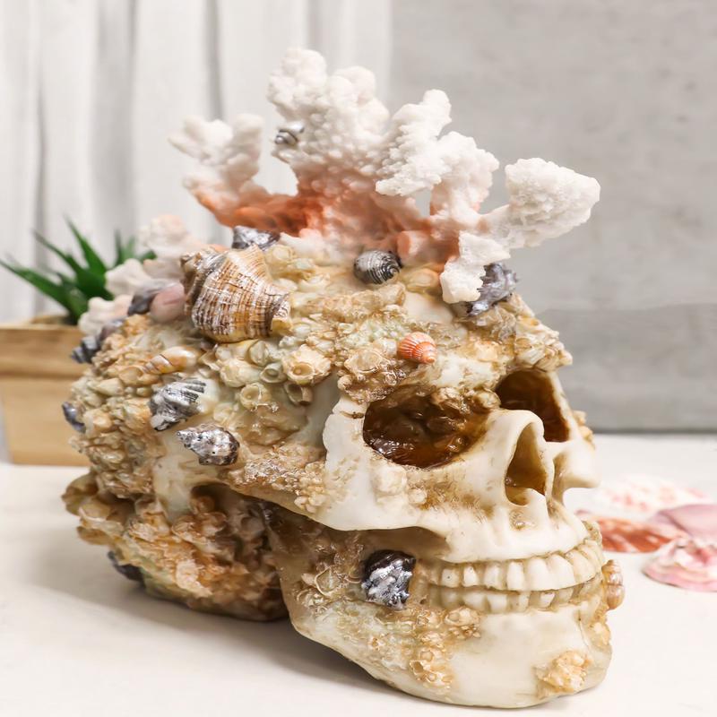 Marine Sea Explorer The Great Barrier Coral Reef Shells And Rocks Skull Figurine