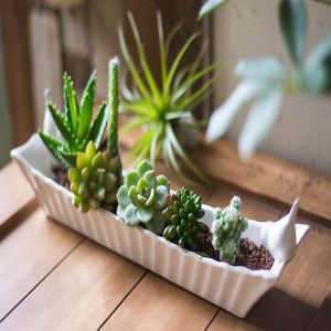 Country French Two Birds White Ceramic Serving Platter Plate Cracker Dish Tray