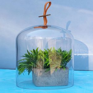 Decorative Clear Glass Apothecary Cloche Bell Jar Centerpiece Dome With Handle