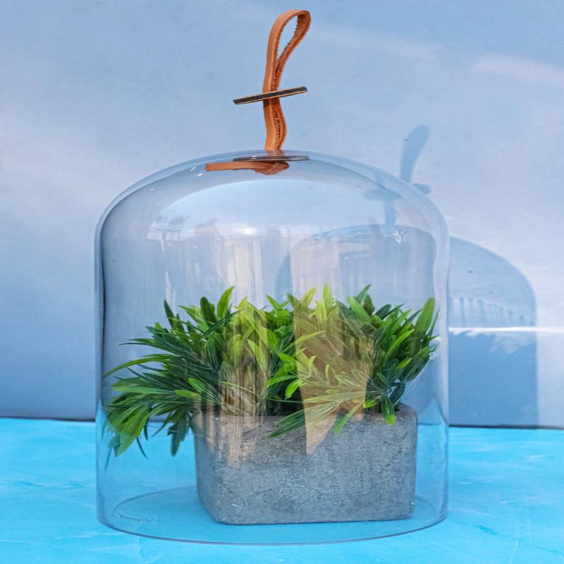 Decorative Clear Glass Apothecary Cloche Bell Jar Centerpiece Dome With Handle