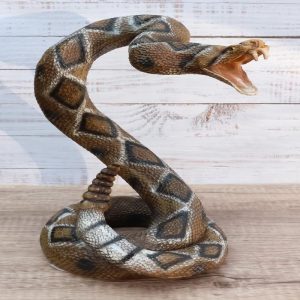 Realistic Attacking Coiled Diamondback Rattlesnake With Fangs Bared Figurine