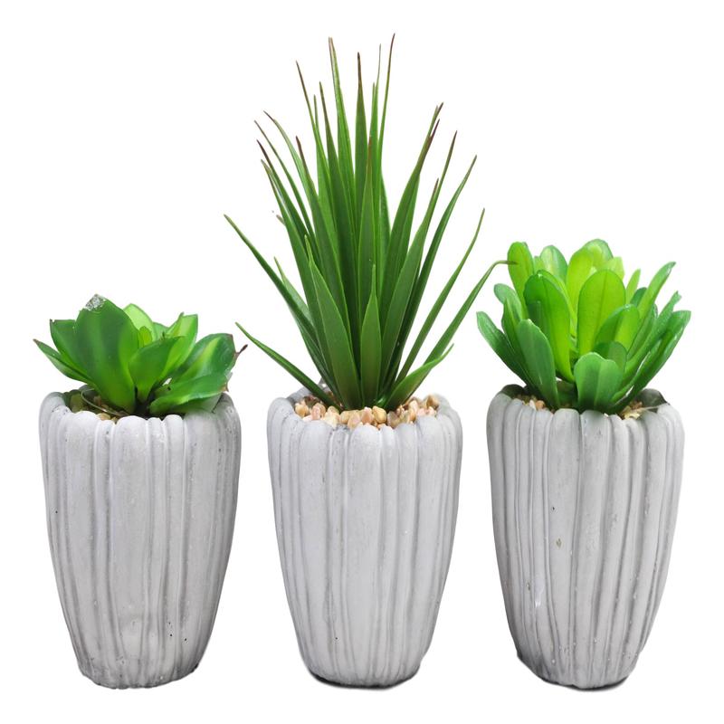 Set Of 3 Realistic Artificial Botanica Fern Succulents Plant In Grey Cement Pots