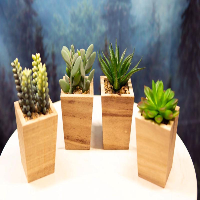 Set of 4 Realistic Artificial Botanica Green Succulents In Wooden Pots 4.75"H